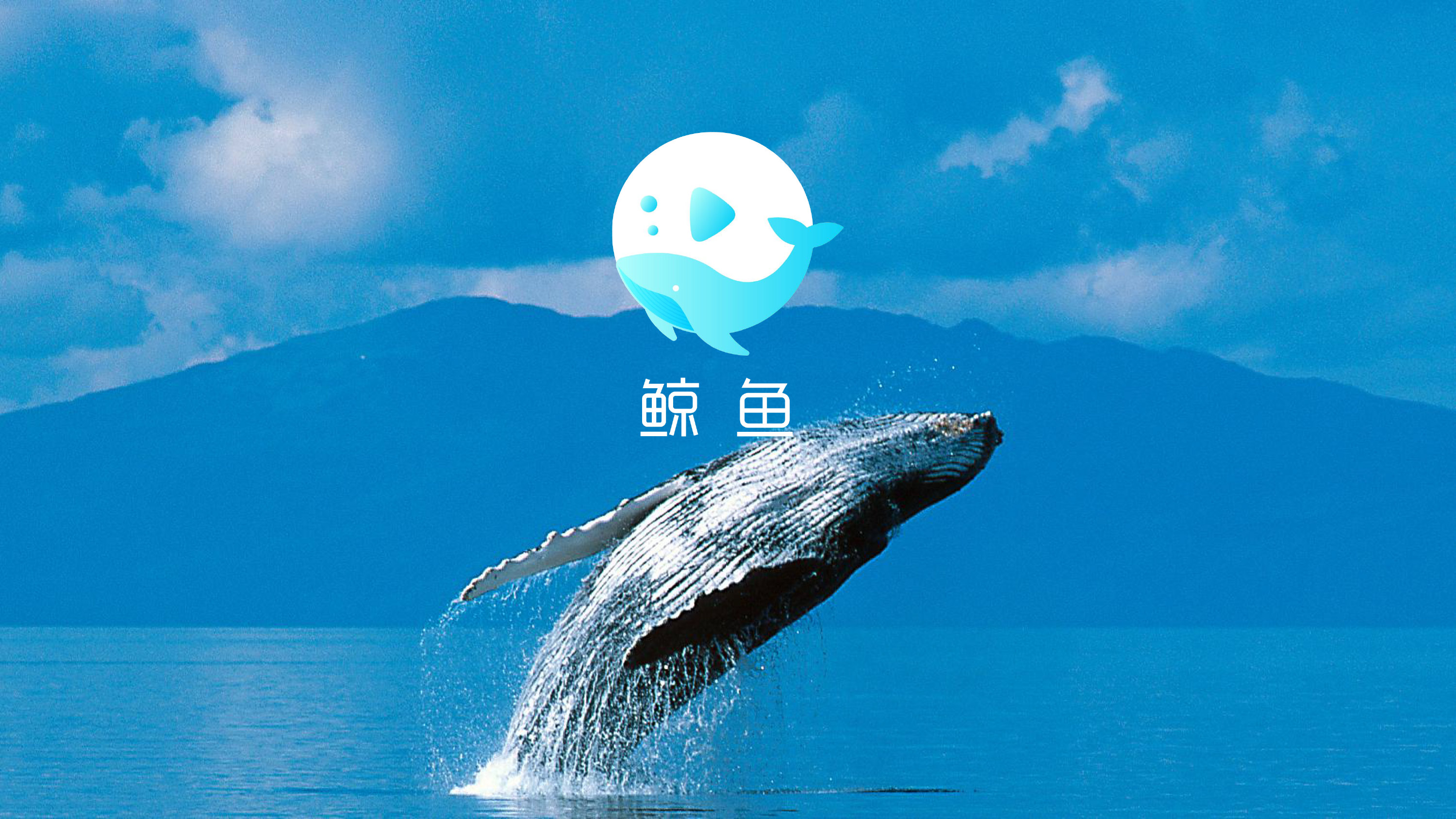 鲸鱼-1.jpg